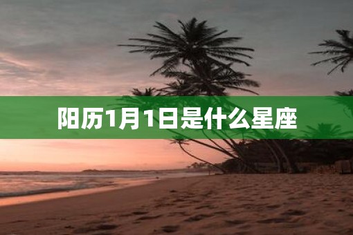 阳历1月1日是什么星座