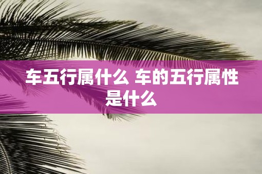 车五行属什么 车的五行属性是什么