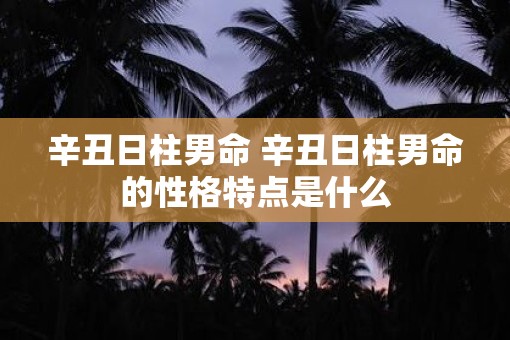 辛丑日柱男命 辛丑日柱男命的性格特点是什么