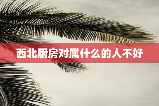 西北厨房对属什么的人不好