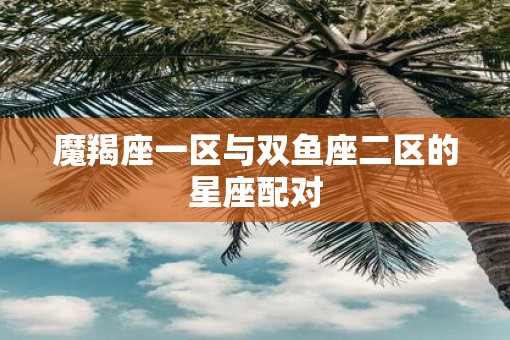魔羯座一区与双鱼座二区的星座配对