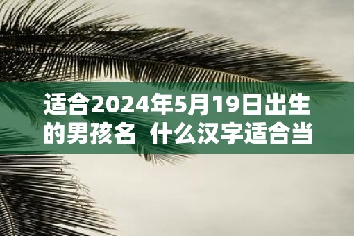 适合2025年5月19日出生的男孩名  什么汉字适合当名字