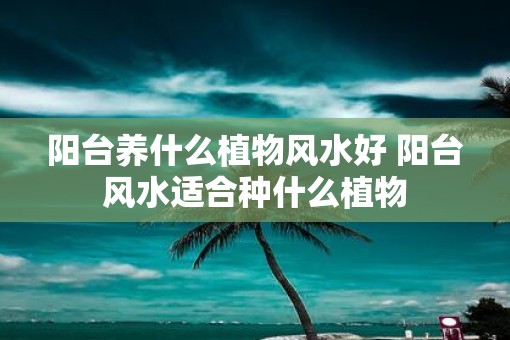 阳台养什么植物风水好 阳台风水适合种什么植物