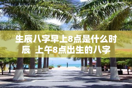 生辰八字早上8点是什么时辰  上午8点出生的八字