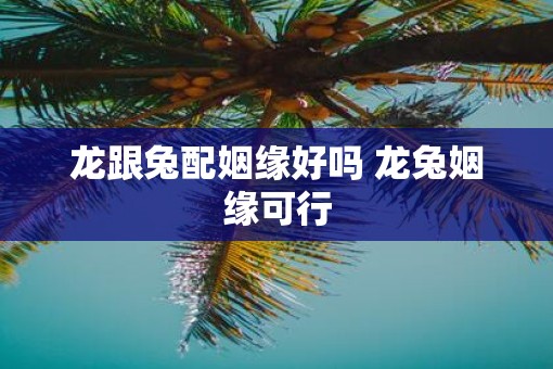 龙跟兔配姻缘好吗 龙兔姻缘可行