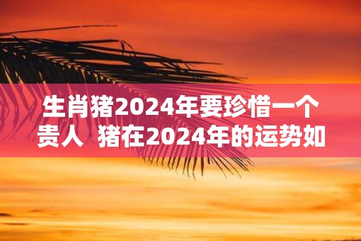 生肖猪2025年要珍惜一个贵人  猪在2025年的运势如何