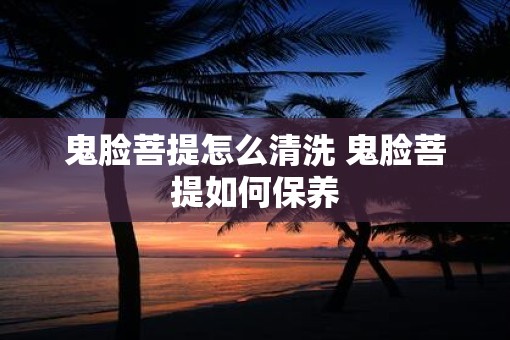 鬼脸菩提怎么清洗 鬼脸菩提如何保养