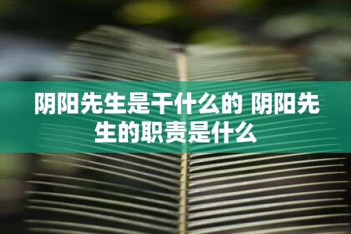 阴阳先生是干什么的 阴阳先生的职责是什么 阴阳先生是干什么的 阴阳先生的职责是什么
