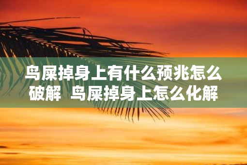 鸟屎掉身上有什么预兆怎么破解  鸟屎掉身上怎么化解