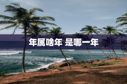 年属啥年 是哪一年 年属啥年 是哪一年