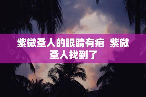 紫微圣人的眼睛有疤  紫微圣人找到了
