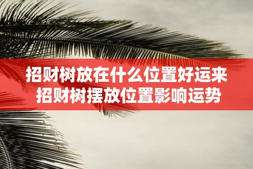 招财树放在什么位置好运来 招财树摆放位置影响运势