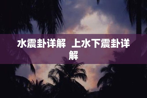 水震卦详解  上水下震卦详解
