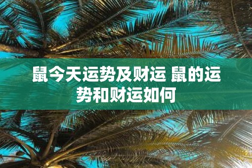 鼠今天运势及财运 鼠的运势和财运如何