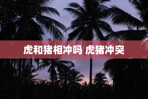 虎和猪相冲吗 虎猪冲突