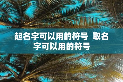 起名字可以用的符号  取名字可以用的符号