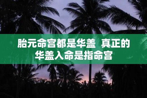 胎元命宫都是华盖  真正的华盖入命是指命宫
