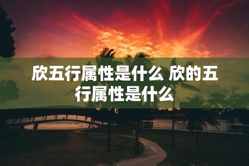 欣五行属性是什么 欣的五行属性是什么