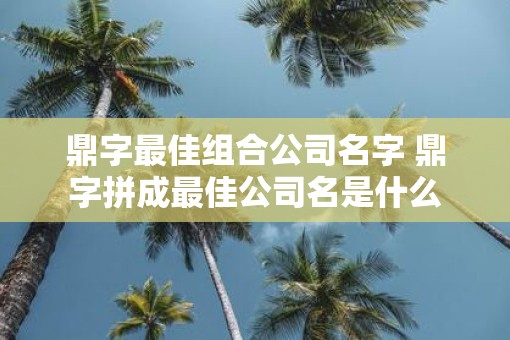 鼎字最佳组合公司名字 鼎字拼成最佳公司名是什么