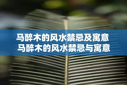 马醉木的风水禁忌及寓意 马醉木的风水禁忌与寓意