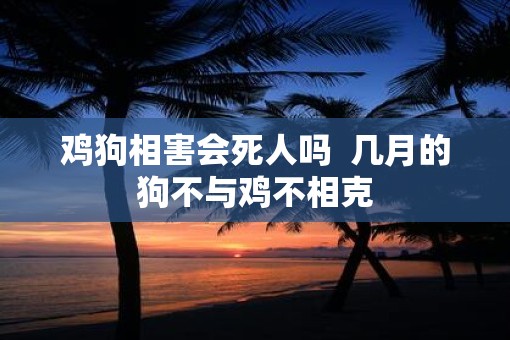 鸡狗相害会死人吗  几月的狗不与鸡不相克