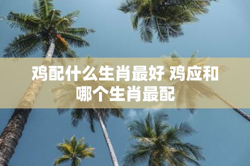 鸡配什么生肖最好 鸡应和哪个生肖最配