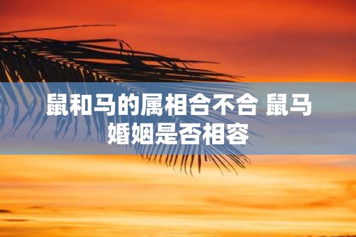 鼠和马的属相合不合 鼠马婚姻是否相容