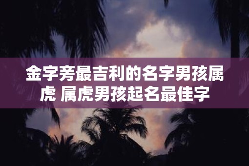金字旁最吉利的名字男孩属虎 属虎男孩起名最佳字