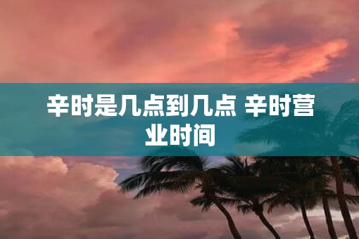 辛时是几点到几点 辛时营业时间