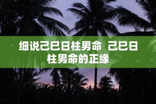 细说己巳日柱男命  己巳日柱男命的正缘