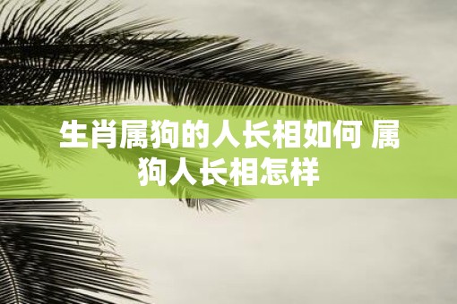 生肖属狗的人长相如何 属狗人长相怎样