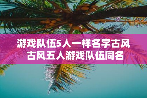 游戏队伍5人一样名字古风 古风五人游戏队伍同名