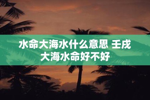 水命大海水什么意思 壬戌大海水命好不好
