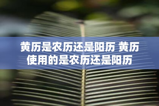 黄历是农历还是阳历 黄历使用的是农历还是阳历