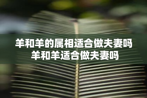 羊和羊的属相适合做夫妻吗 羊和羊适合做夫妻吗