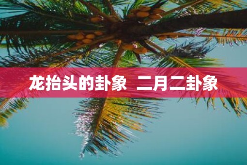 龙抬头的卦象  二月二卦象