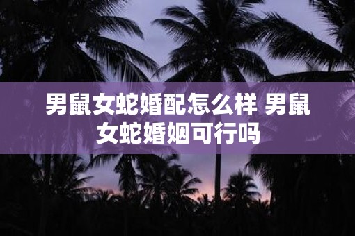 男鼠女蛇婚配怎么样 男鼠女蛇婚姻可行吗