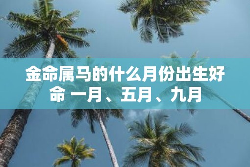 金命属马的什么月份出生好命 一月、五月、九月