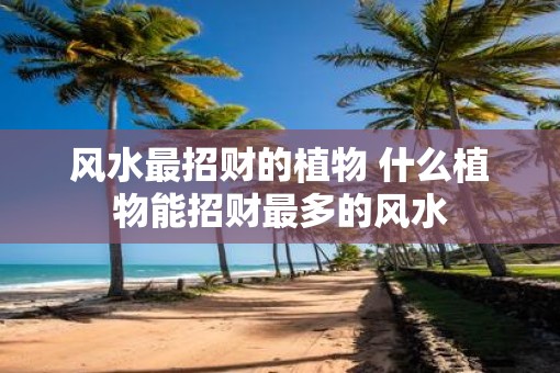 风水最招财的植物 什么植物能招财最多的风水