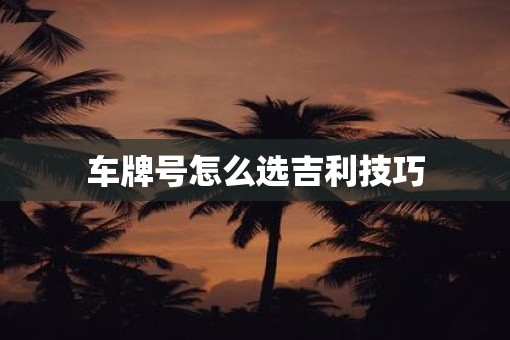 车牌号怎么选吉利技巧