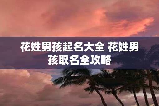 花姓男孩起名大全 花姓男孩取名全攻略