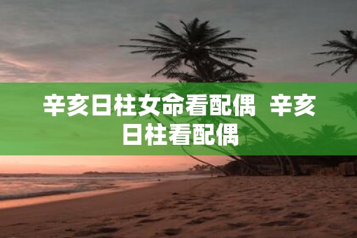 辛亥日柱女命看配偶  辛亥日柱看配偶