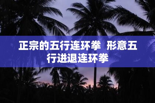 正宗的五行连环拳  形意五行进退连环拳