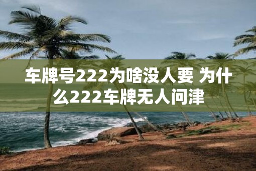 车牌号222为啥没人要 为什么222车牌无人问津