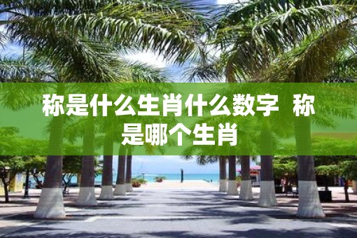 称是什么生肖什么数字  称是哪个生肖