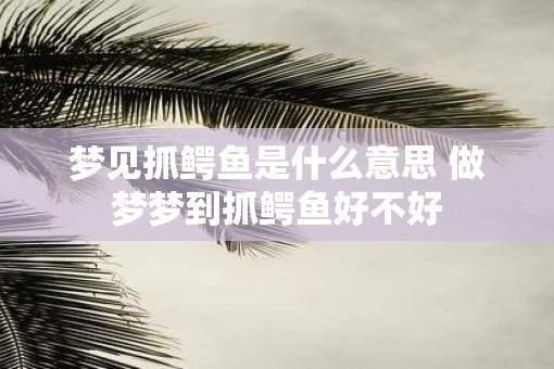 梦见抓鳄鱼是什么意思 做梦梦到抓鳄鱼好不好