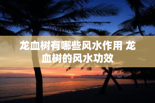 龙血树有哪些风水作用 龙血树的风水功效