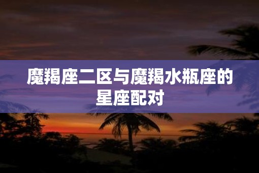 魔羯座二区与魔羯水瓶座的星座配对