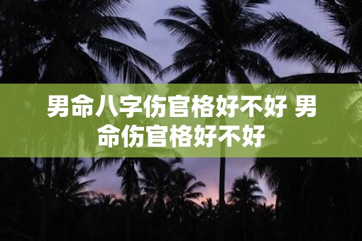 男命八字伤官格好不好 男命伤官格好不好