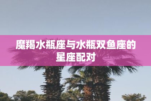 魔羯水瓶座与水瓶双鱼座的星座配对